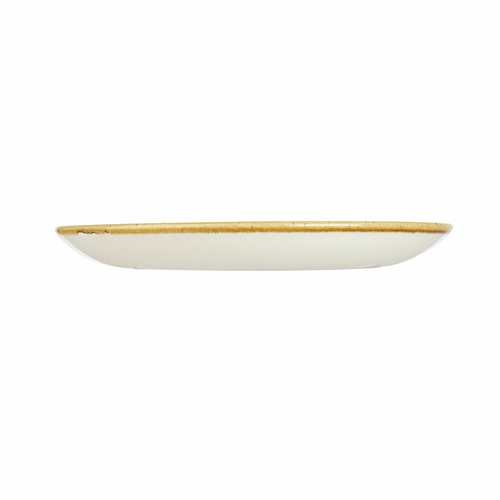 Churchill China Super Vit Stonecast SWHSEVP81 Plate, China