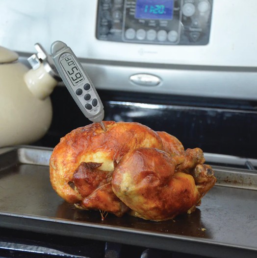 Bios DT131 Waterproof Pocket Thermometer