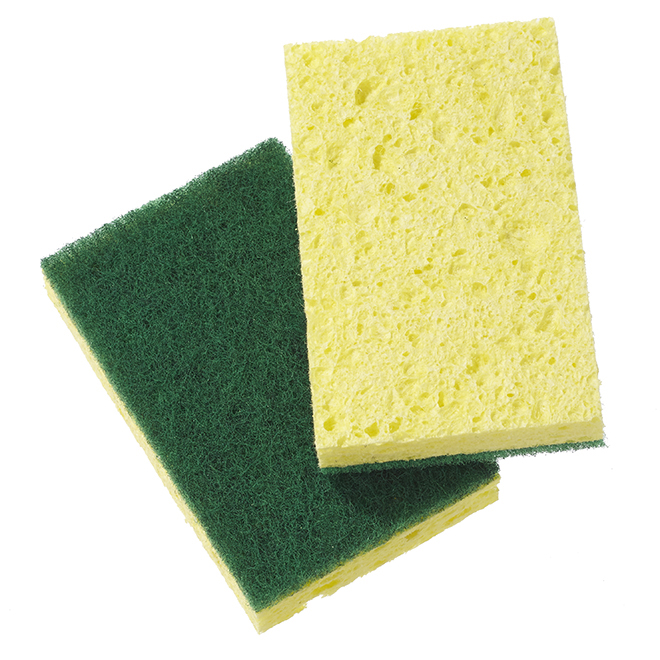 Globe 7003 Green/Yellow Sponge