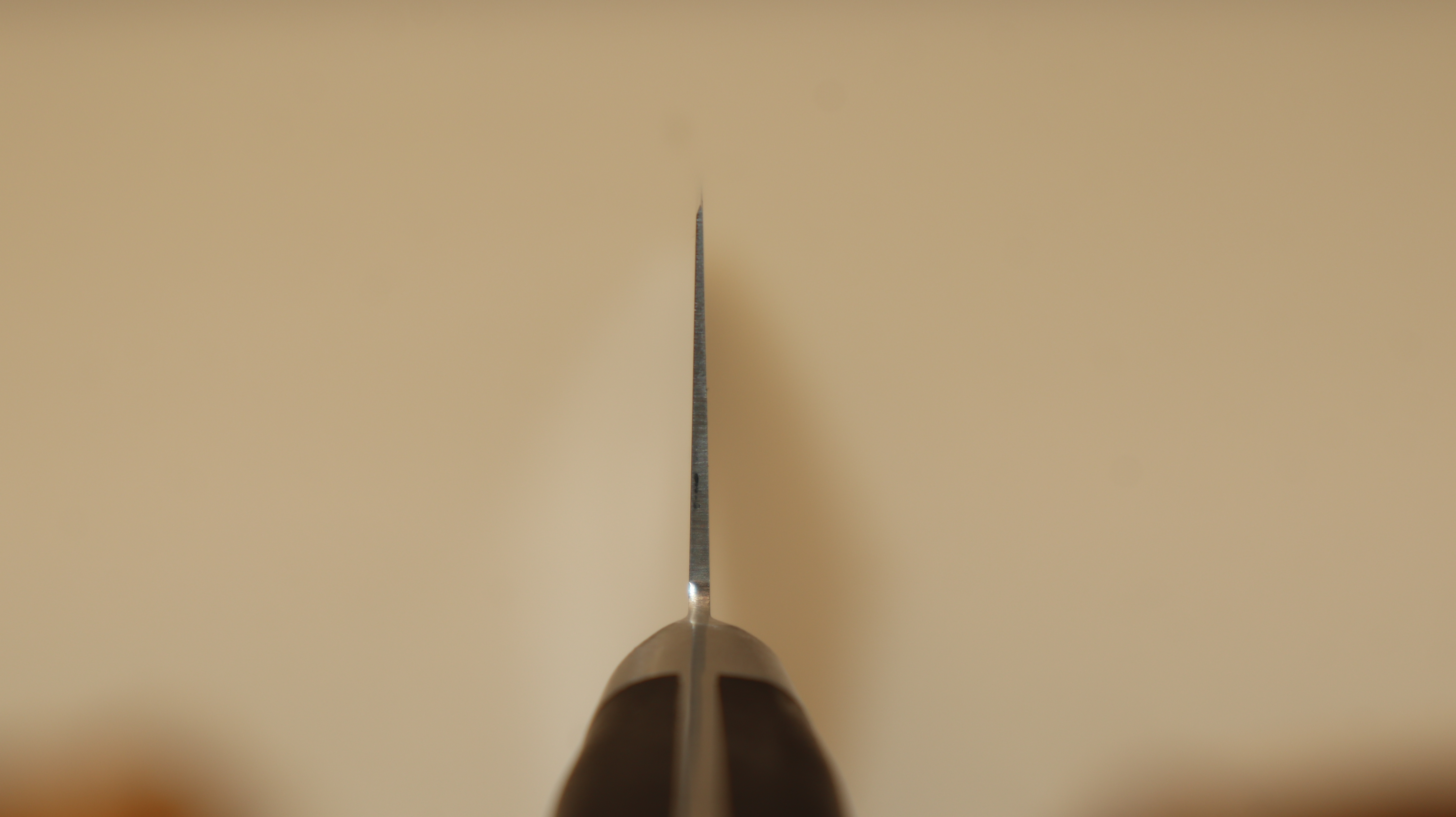 Sakai Takayuki 11012 Gyuto, INOX, 210 mm, 8A