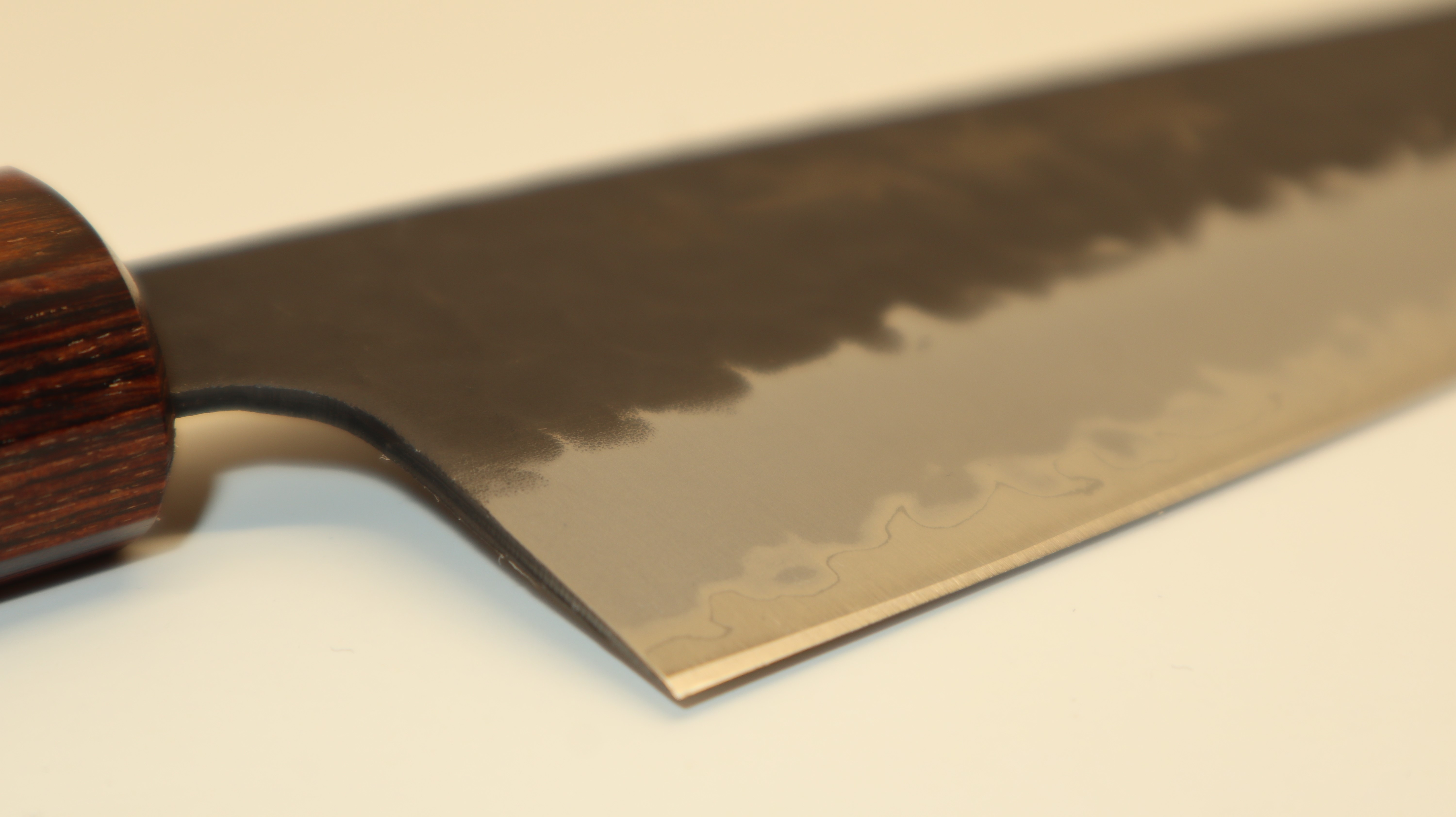 Sakai Takayuki 1194 Gyuto, Aogami Super, 240 mm, Blue Carbon Steel